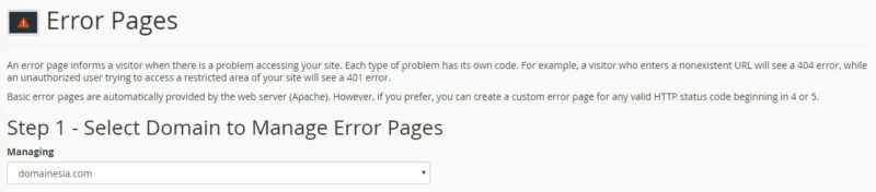 custom error page
