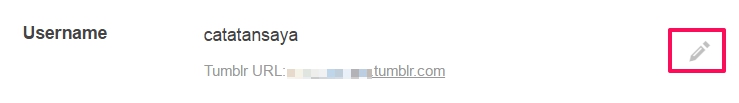 cara custom domain tumblr