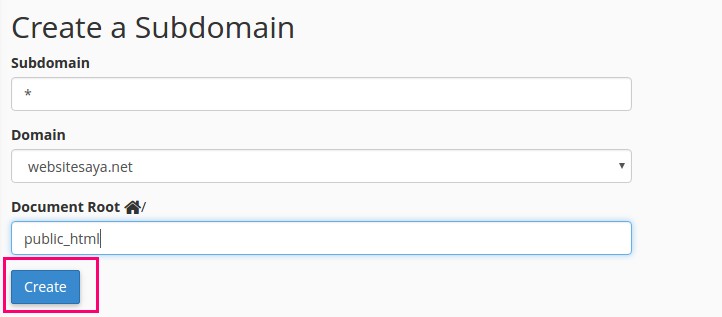 widcard subdomain