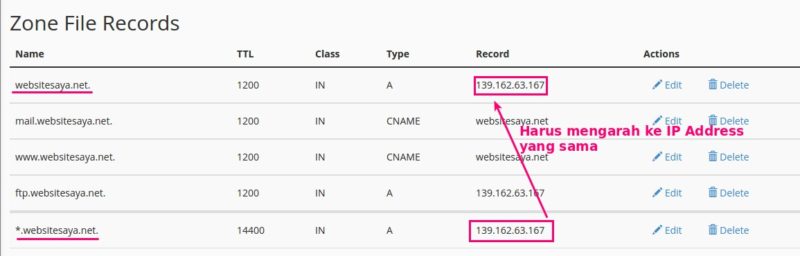 wildcard subdomain