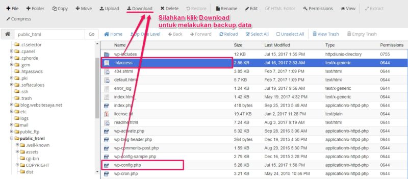 cara membuat multisite dengan subdomain