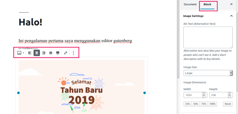 cara menggunakan editor gutenberg wordpress