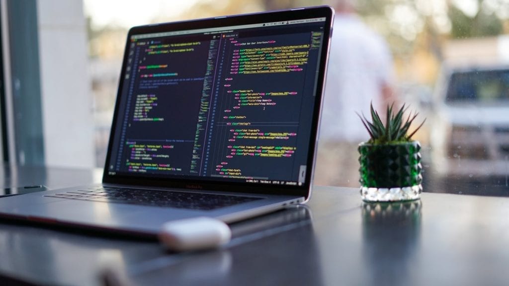 apa itu developer