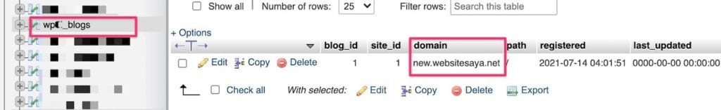 Cara Mengubah Domain Pada Multisite WordPress 8