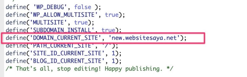 Cara Mengubah Domain Pada Multisite WordPress 9