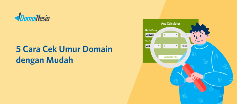 cara cek umur domain dengan mudah dan akurat