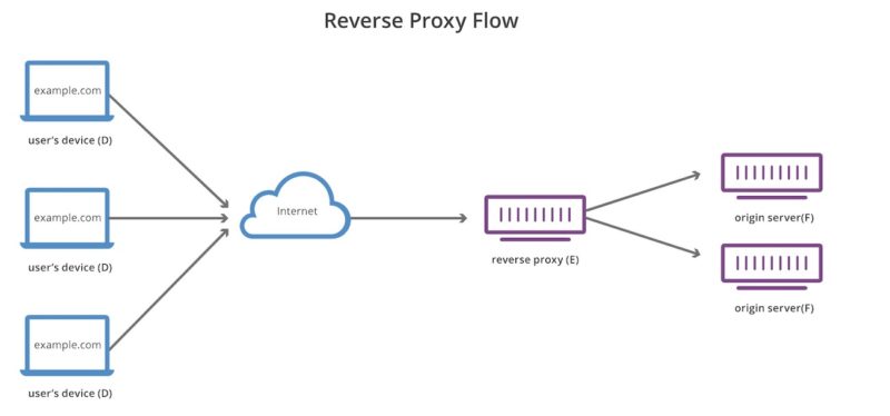 reverse proxy