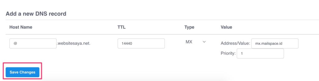 Cara Konfigurasi DNS Email Hosting (Mailspace) Untuk Admin 11