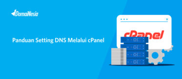 Panduan Setting DNS Melalui cPanel 3