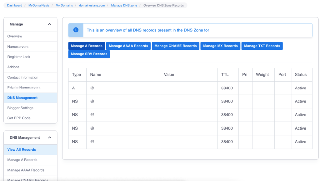 Apa sih DNS Management? 2 setting dns di hosting
