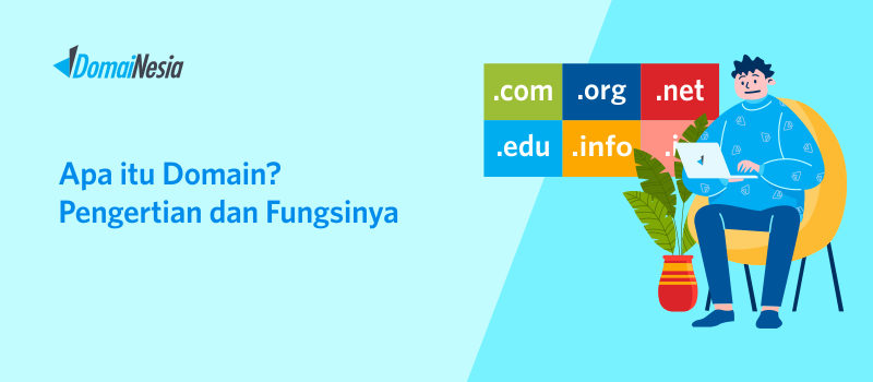 Pengertian Domain dan Fungsi Domain