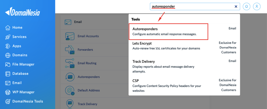 Cara Membalas Email Otomatis (Autoresponder) di cPanel 3 cara membalas email otomatis
