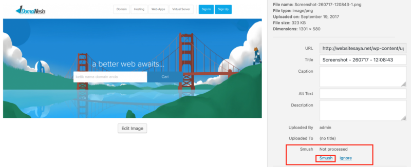 4 Cara Optimasi Website WordPress Lebih Cepat - DomaiNesia