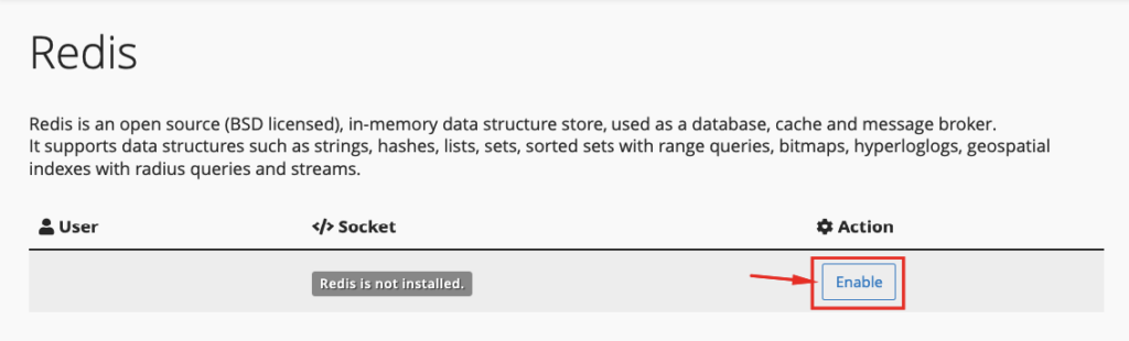 Cara Setting Redis Laravel di Hosting cPanel 4 Redis Laravel