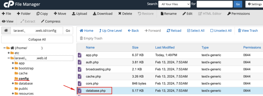 Cara Setting Redis Laravel di Hosting cPanel 10 Redis Laravel