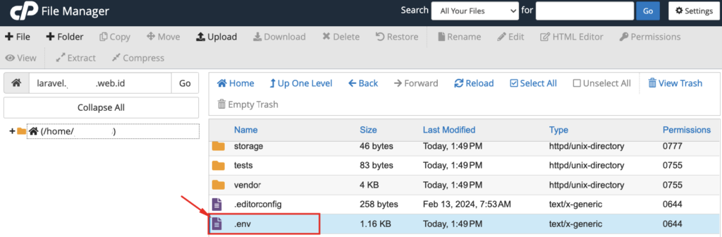 Cara Setting Redis Laravel di Hosting cPanel 8 Redis Laravel