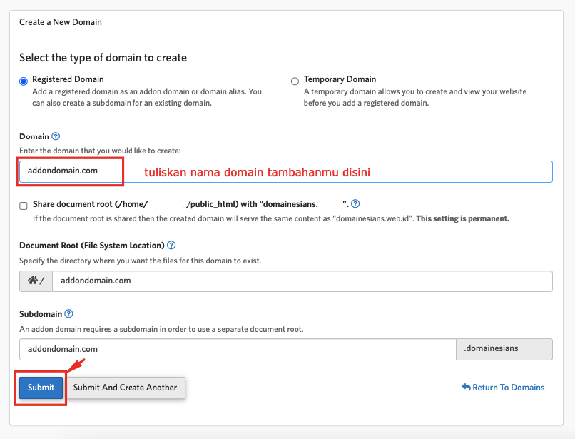 Panduan Setting Domain di Hosting DomaiNesia 9 Setting Domain