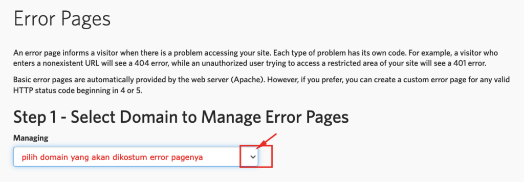 Panduan Custom Error Page di cPanel 4 custom error page