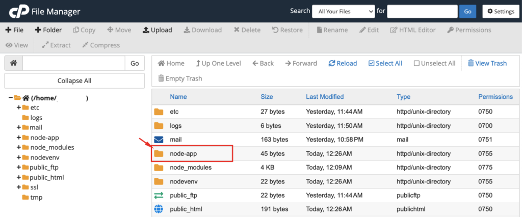 Cara Install Nodejs di Hosting cPanel: Panduan Lengkap untuk Pemula 14 Install Nodejs di Hosting
