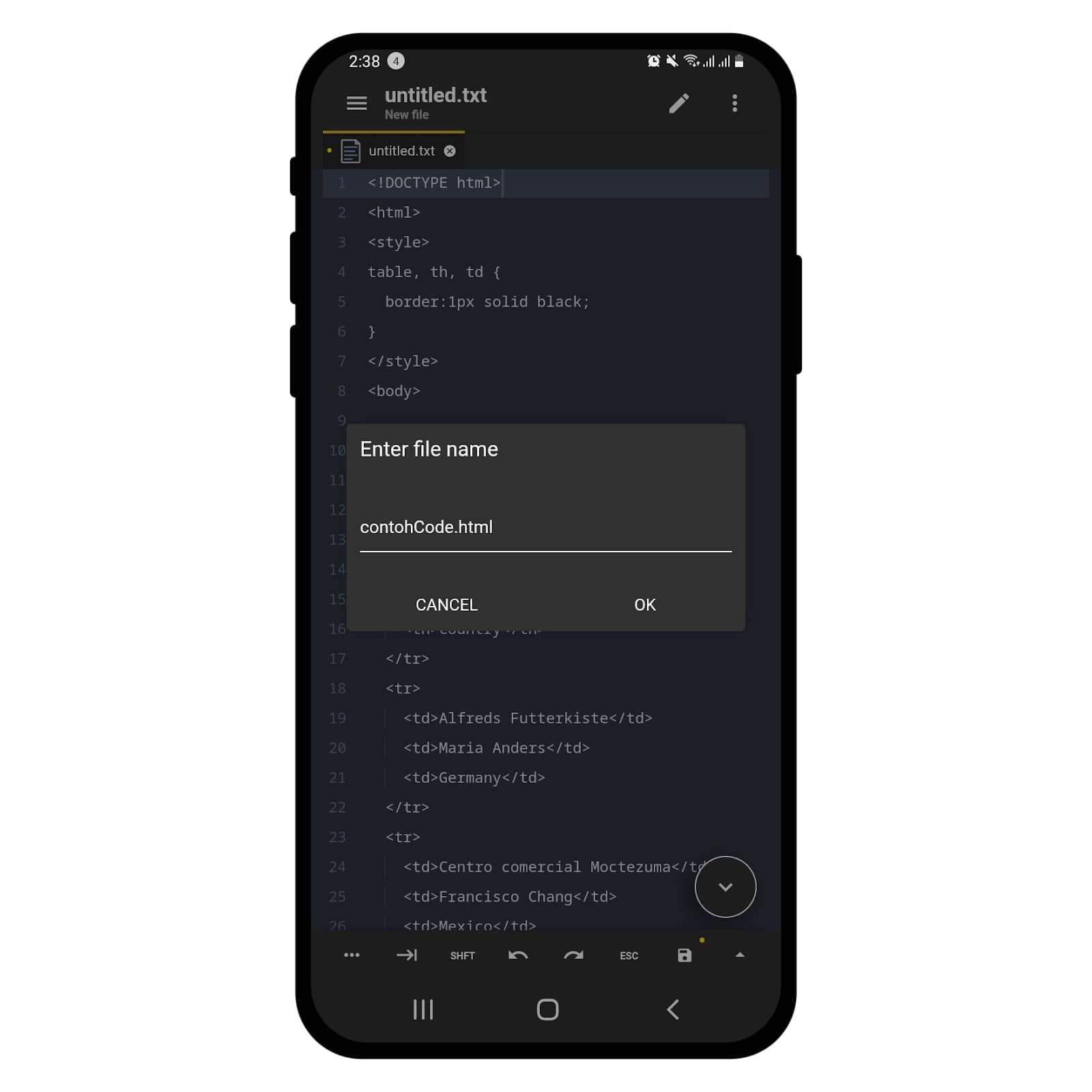 cara membuat website dengan html di android