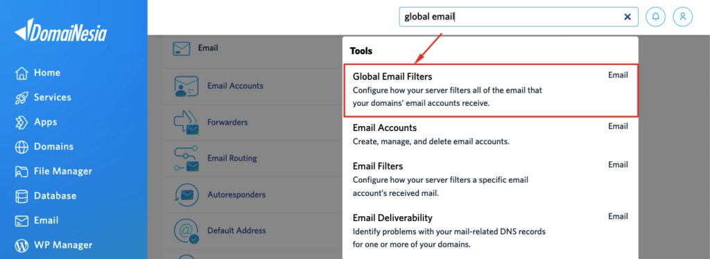 Cara Filter Email di cPanel 3 filter email di cpanel