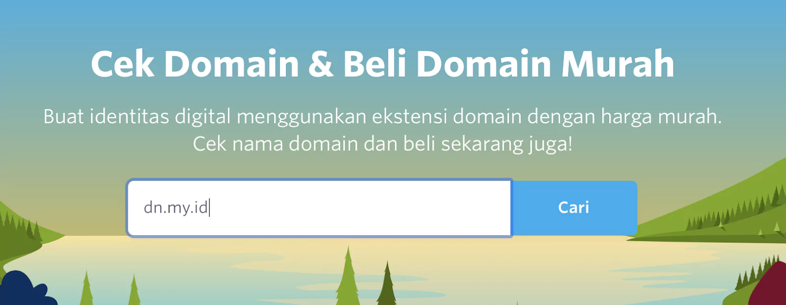 domain premium