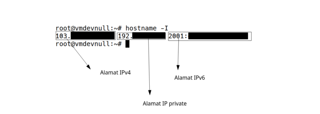 cek ip vps