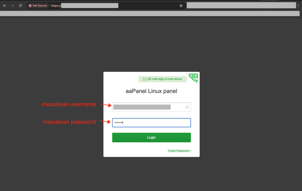 login aapanel cloud vps