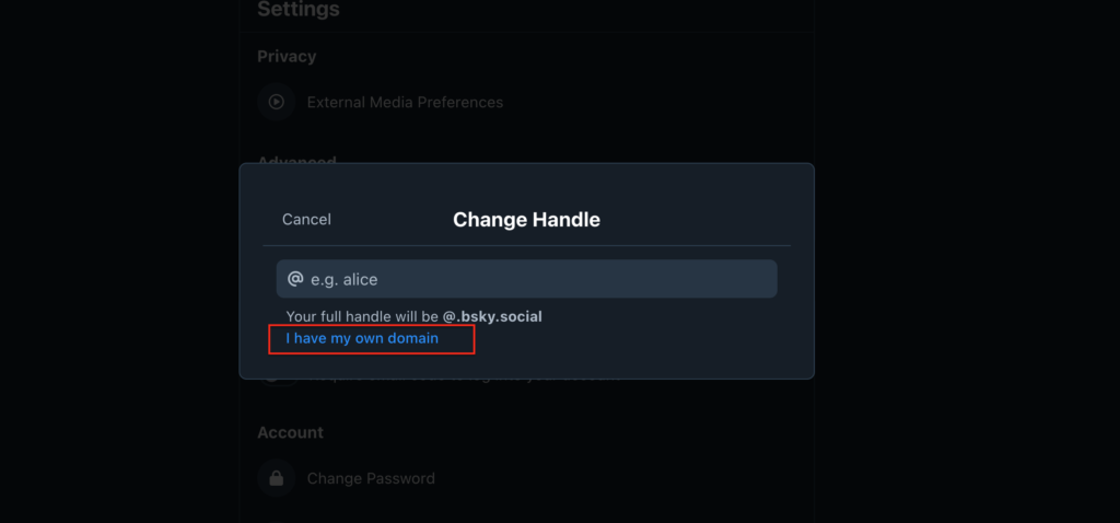 Cara Custom Domain di Bluesky Social 7