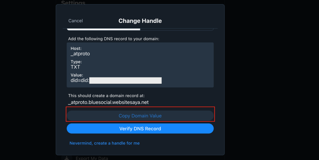 Cara Custom Domain di Bluesky Social 8