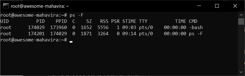 Cara Cek Penggunaan Memori di VPS Linux Melalui Terminal