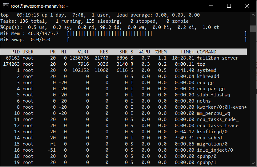 Cara Cek Penggunaan Memori di VPS Linux Melalui Terminal