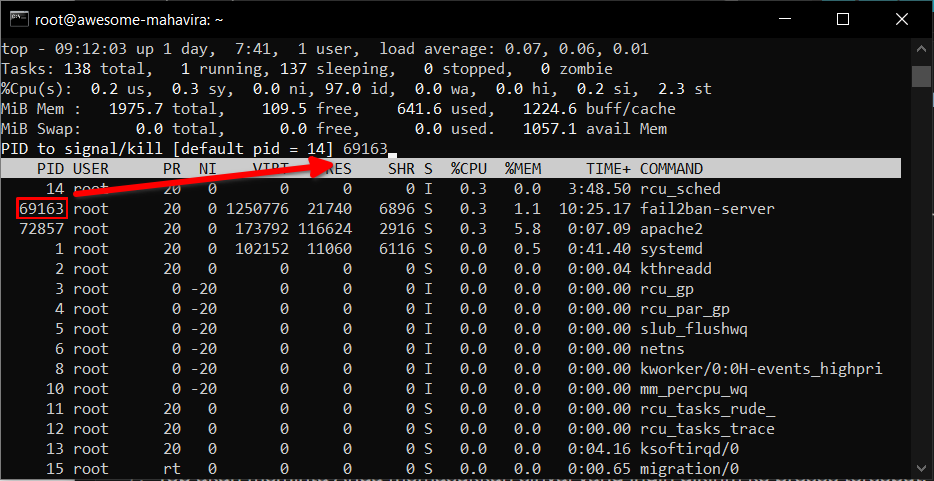 Cara Cek Penggunaan Memori di VPS Linux Melalui Terminal
