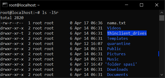 Cara Lihat Informasi Folder Dengan Perintah ls di VPS Linux