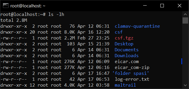 Cara Lihat Informasi Folder Dengan Perintah ls di VPS Linux