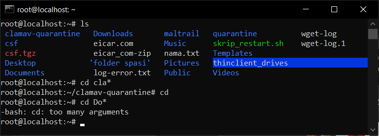 Cara Navigasi Antar Folder Dengan Perintah cd di VPS Linux