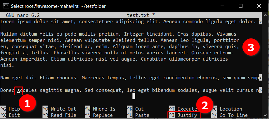 Apa itu Teks Editor Nano? dan Cara Menggunakan di Cloud VPS
