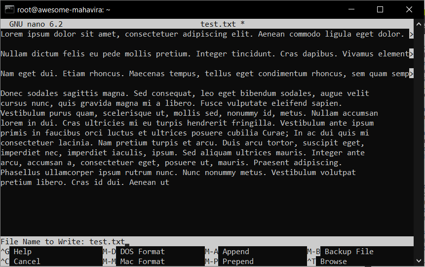 Apa itu Teks Editor Nano? dan Cara Menggunakan di Cloud VPS