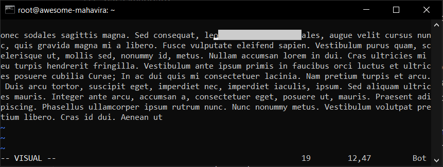 Apa itu Teks Editor Vim? dan Cara Menggunakan di Cloud VPS