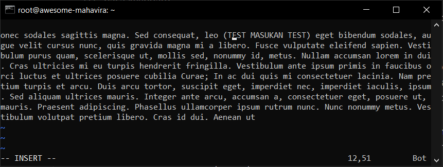 Apa itu Teks Editor Vim? dan Cara Menggunakan di Cloud VPS