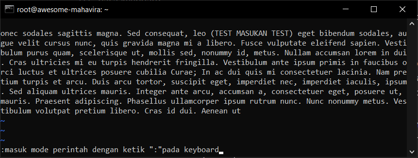Apa itu Teks Editor Vim? dan Cara Menggunakan di Cloud VPS