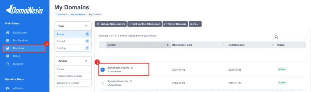 Custom Domain di Vercel