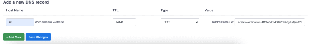 Custom Domain di Scalev