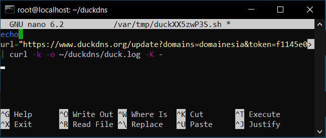 Apa itu DuckDNS? dan Cara Koneksikan Ke IP di VPS Linux