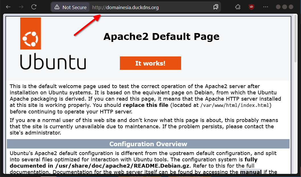 Apa itu DuckDNS? dan Cara Koneksikan Ke IP di VPS Linux