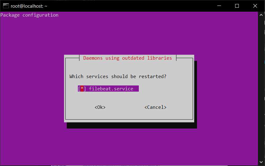 Cara Install Nikto Untuk Pengujian Kerentanan di VPS Ubuntu