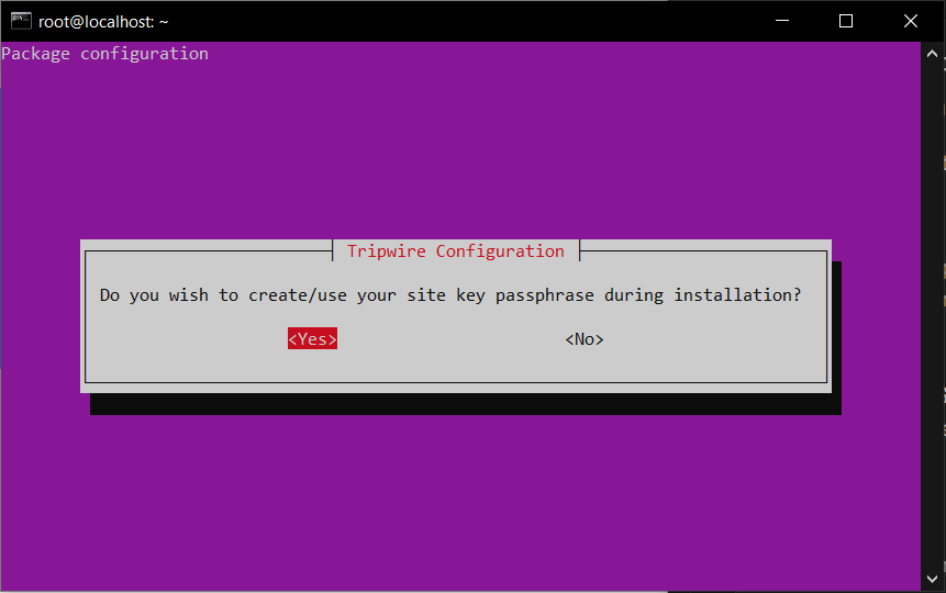Cara Install Tripwire Untuk Deteksi Peretasan di VPS Linux