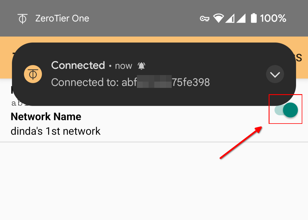 Cara Install ZeroTier Untuk Amankan IP Address di VPS Ubuntu