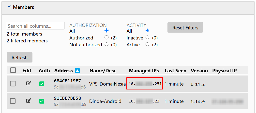 Cara Install ZeroTier Untuk Amankan IP Address di VPS Ubuntu