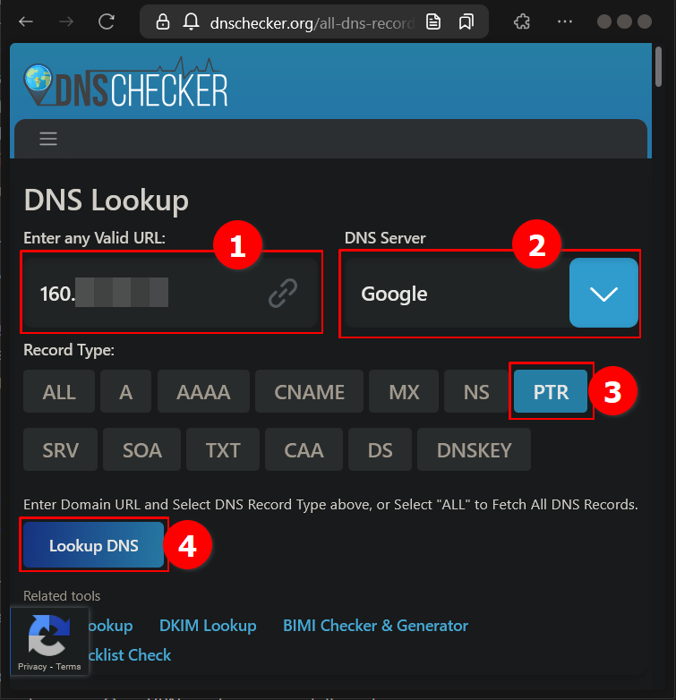 Cara Lihat Domain atau Hostname PTR Pada VPS di Terminal